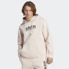 Adidas : All Season Graphic Hoodie