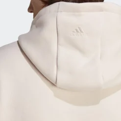 Adidas : All Season Graphic Hoodie