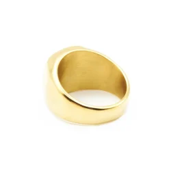 Hits : Dark Signet Ring