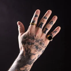 Hits : Flat Chain Ring