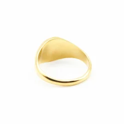 Hits : Signet Ring