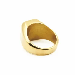 HITS : Warrior Ring