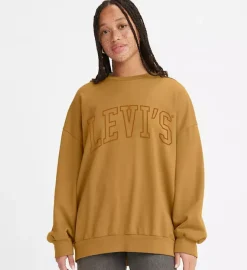 Levi's : Graphic Prism Crew