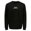 Only & Sons : Regular Fit Celebrity Crewneck
