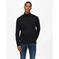 Only & Sons : Regular Knit Rollneck