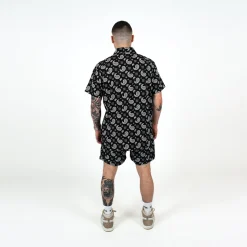 WLKN : The Paisley Shirt