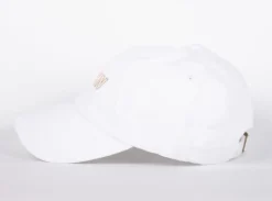 WLKN : Colored Dad Hat