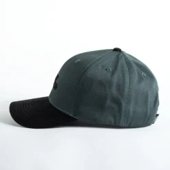 WLKN : Royalty Cap